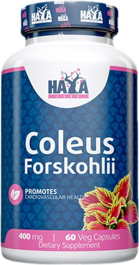 Haya Labs Coleus Forskohlii 400мг 60 капси