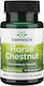 Swanson Timed-Release Horse Chestnut 22% Aescin 200mg 120 Tablets