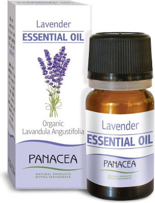 Panacea Essential Oil Lavender 10ml