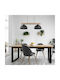 TK Lighting Oslo Hängelampe Schwarz Schiene mit Fassung E27 83cm.
