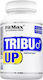 FitMax Tribu Up Supplement for Workout & Testosterone Boost 60 caps