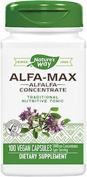 Nature's Way Alfa-Max 500mg 100 Capsule Pe Bază De Plante Nature's Way Alfa-Max 500mg 100 Capsule Pe Bază De Plante