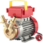 Rover Pompe 10 CE Single Phase Transfer Pump with 3/8" Inlet and 0.4hp Horsepower