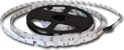 Giako LED Strip 12V with Cold White Light 1m Giako LED Strip 12V with Cold White Light 1m