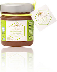 O Melissas Μέλι Έλατο Βανίλια 260gr