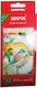 Next Colored Pencil Set Package of 1 packages