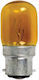 Night Light Bulb 3W for Socket B22