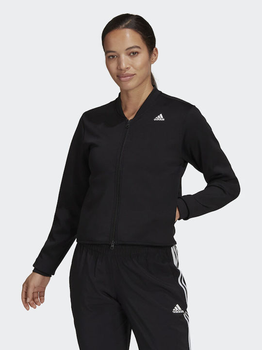 adidas bomber jacket skroutz