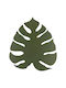 TK Lighting Monstera Modern Leuchte Wand mit Fassung G9 Grün 35.5x35x4.5cm