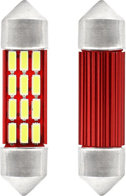 AMiO Λάμπες Αυτοκινήτου 36mm Canbus LED 5600K Λευκό 12V 2τμχ /AM