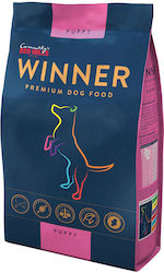 Connoly's Red Mills Winner Puppy Large