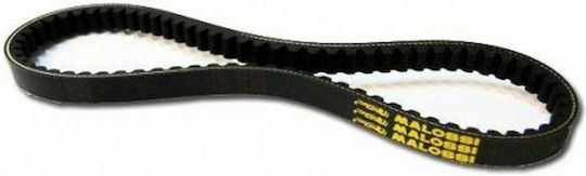 Malossi Motorcycle Transmission Belt Special for Honda Vision 50 2T 617213