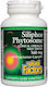 Natural Factors Siliphos Phytosome 160мг 60 капси
