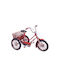 Metallic Miniature Bicycle 16cm