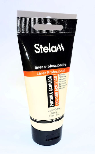 Stelan Stelam Colore Acrilico Acrylic Paint Set 46 Flesh Tint 75ml 1pcs