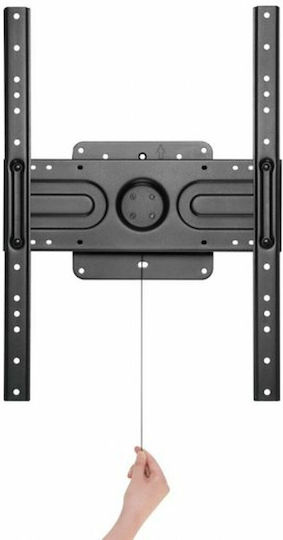 Equip 650331 Wall TV Mount up to 80" and 50kg