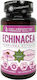 Cvetita Herbal Echinacea 400мг 60 капси