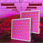 225L Pendant Grow Light with 450 LED 90W 5cm