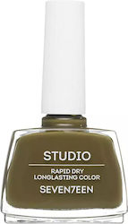 Seventeen Seventeen Studio Rapid Dry Lasting Br...