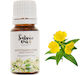 Етерично масло от вечерна иглика Salveo 10ml