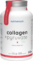 Nutriversum Colagen Balance+ 100 Capsule