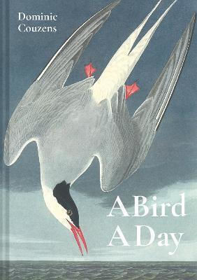 A Bird a Day A Bird a Day