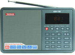 Tecsun ICR-110 Φορητό Γκρι