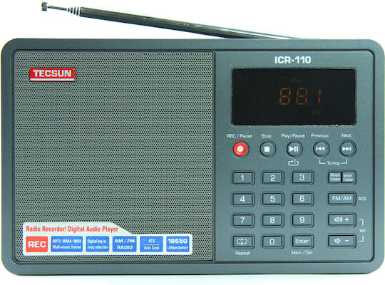 Tecsun ICR-110 Φορητό Ραδιόφωνο Γκρι