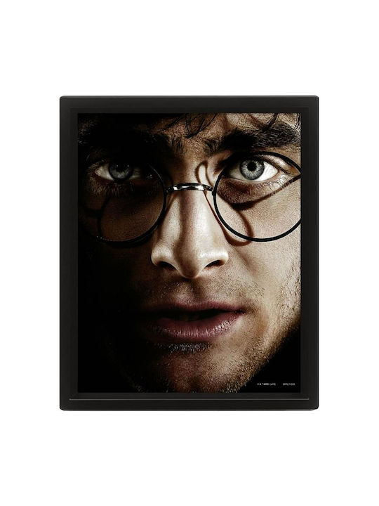 Pyramid International Harry vs Voldemort Frame Plastic 20x26cm