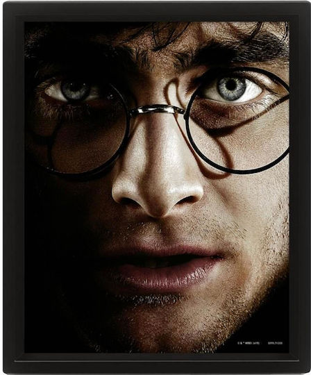 Pyramid International Harry vs Voldemort Frame Plastic 20x26cm