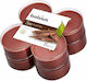 Bolsius Tealights True Scents With Sandalwood Scent In Brown Colour Up To 8 Hours Duration 8 Pieces