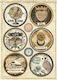 Stamperia Alchemy Rounds Ριζόχαρτο Decoupage