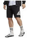 Performance Sports Men's Shorts Regular Fit Black