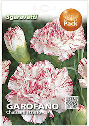 CHABAUD STRIATO CARNATION SEEDS SGARAVATTI