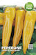 Sgaravatti Σπόροι Πιπεριάς Giallo 5gr