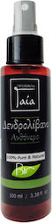 Gaia Products Ανθόνερο Δεντρολίβανου 100ml Gaia Products Ανθόνερο Δεντρολίβανου 100ml