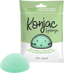 Diet-Food Green Tea Konjac sponges Facial Cleanser 1pcs