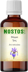 Nostos Pure Βάμμα Ίρις 100ml