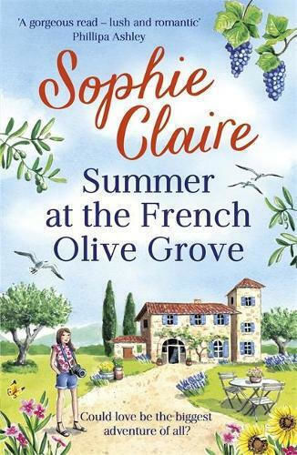 Summer at the French Olive Grove