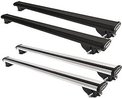 Farad 1993-2000 (with Roof Rack Legs and Lock) Silver