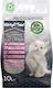 Bentysandy Kitty Max Bentonit Katzenstreu mit Duft Babypuder 20Es