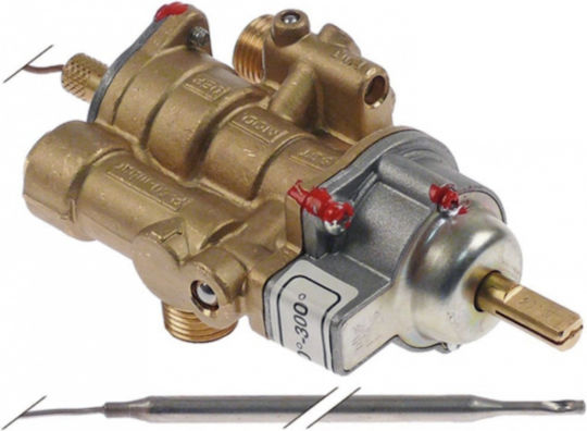 Pintossi 60.01.06.01 Kitchen Thermostat Replacement