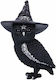 Nemesis Now Cult Cuties: Owlocen Figur Statue 30cm