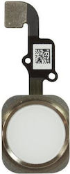 Flex Cable with Home Button in Gold colour for iPhone 6