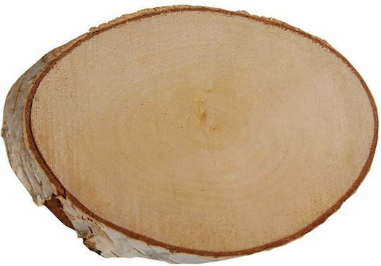 Rayher Tree Trunk 23x21cm Thickness 2mm 1pcs