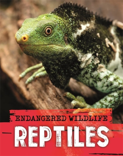 Rescuing Reptiles, Endangered Wildlife