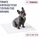 Animal Επιδαπέδια Πάνα Σκύλου με Αυτοκόλλητο 60x60cm 25τμχ