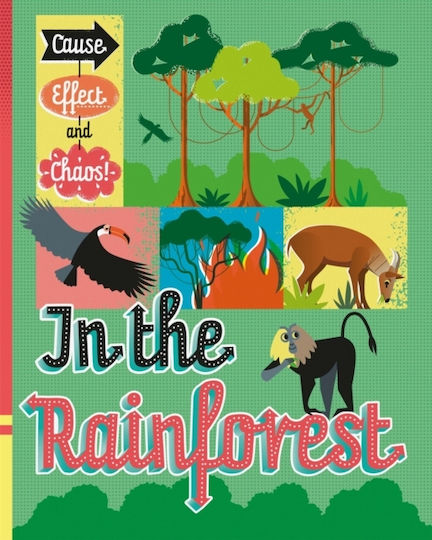 In the Rainforest In the Rainforest