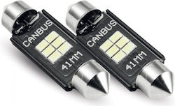 Phonocar Lamps Car Canbus LED 12V 2pcs