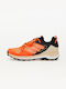 adidas Terrex Skychaser 2.0 Men's Waterproof Hiking Shoes Gore-Tex Impact Orange / Core Fuchsia / Core Black